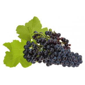 Premium Cabernet Sauvignon Rdvin